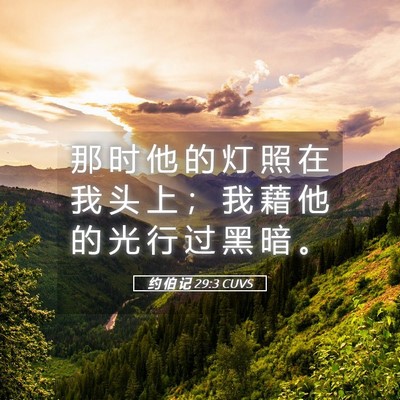 Picture 05 - 约 伯 记 29:3 CUVS - 那 时 他 的 灯 照 在 我 头 上 ； 我 - Bible Verse Picture