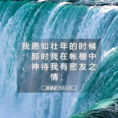 Picture 05 - 约 伯 记 29:4 CUVS - 我 愿 如 壮 年 的 时 候 ： 那 时 我 - Bible Verse Picture