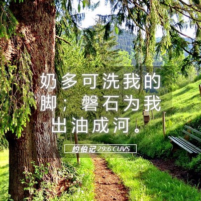 Picture 05 - 约 伯 记 29:6 CUVS - 奶 多 可 洗 我 的 脚 ； 磐 石 为 我 - Bible Verse Picture
