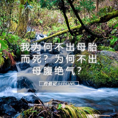 Picture 05 - 约 伯 记 3:11 CUVS - 我 为 何 不 出 母 胎 而 死 ？ 为 何 - Bible Verse Picture