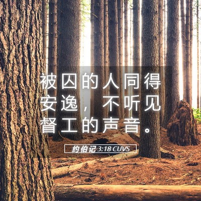 Picture 05 - 约 伯 记 3:18 CUVS - 被 囚 的 人 同 得 安 逸 ， 不 听 见 - Bible Verse Picture