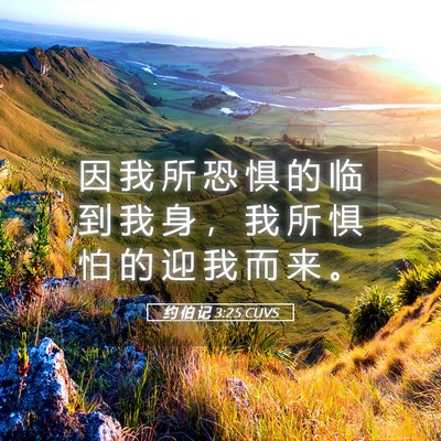 Picture 05 - 约 伯 记 3:25 CUVS - 因 我 所 恐 惧 的 临 到 我 身 ， 我 - Bible Verse Picture