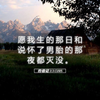Picture 05 - 约 伯 记 3:3 CUVS - 愿 我 生 的 那 日 和 说 怀 了 男 胎 - Bible Verse Picture