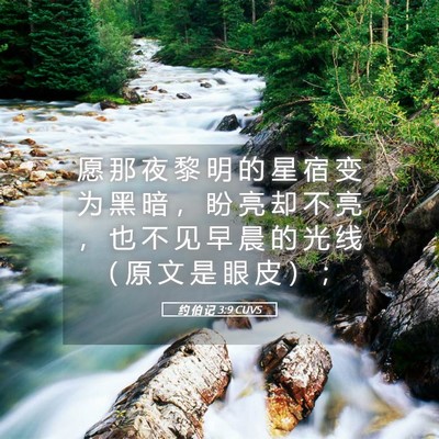 Picture 05 - 约 伯 记 3:9 CUVS - 愿 那 夜 黎 明 的 星 宿 变 为 黑 暗 - Bible Verse Picture