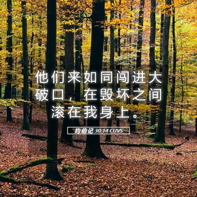 Picture 05 - 约 伯 记 30:14 CUVS - 他 们 来 如 同 闯 进 大 破 口 ， 在 - Bible Verse Picture