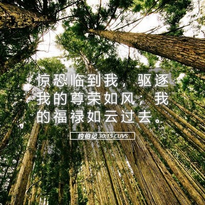 Picture 05 - 约 伯 记 30:15 CUVS - 惊 恐 临 到 我 ， 驱 逐 我 的 尊 荣 - Bible Verse Picture
