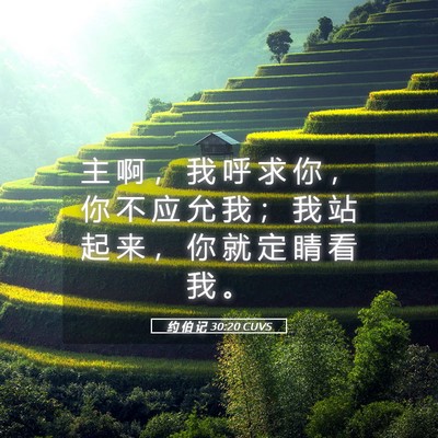 Picture 05 - 约 伯 记 30:20 CUVS - 主 啊 ， 我 呼 求 你 ， 你 不 应 允 - Bible Verse Picture