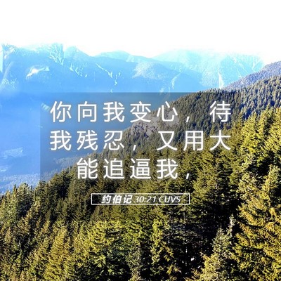 Picture 05 - 约 伯 记 30:21 CUVS - 你 向 我 变 心 ， 待 我 残 忍 ， 又 - Bible Verse Picture