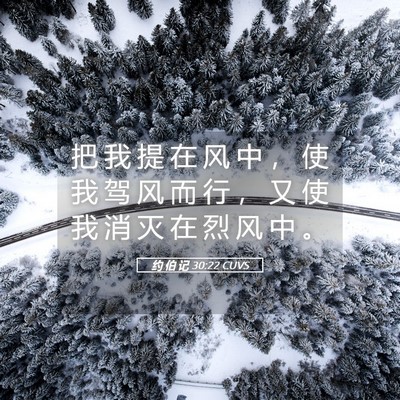 Picture 05 - 约 伯 记 30:22 CUVS - 把 我 提 在 风 中 ， 使 我 驾 风 而 - Bible Verse Picture