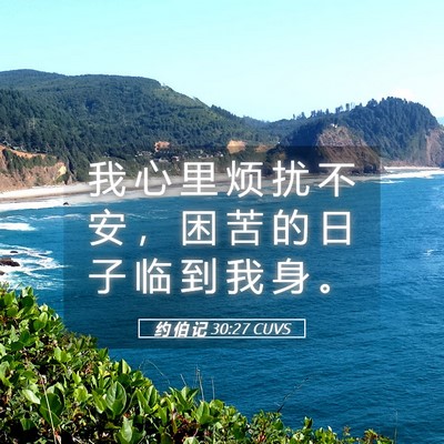 Picture 05 - 约 伯 记 30:27 CUVS - 我 心 里 烦 扰 不 安 ， 困 苦 的 日 - Bible Verse Picture