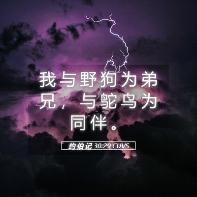 Picture 05 - 约 伯 记 30:29 CUVS - 我 与 野 狗 为 弟 兄 ， 与 鸵 鸟 为 - Bible Verse Picture