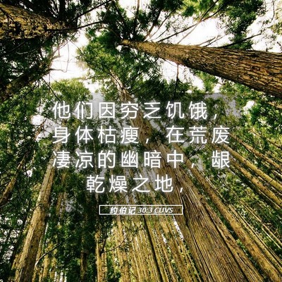 Picture 05 - 约 伯 记 30:3 CUVS - 他 们 因 穷 乏 饥 饿 ， 身 体 枯 瘦 - Bible Verse Picture