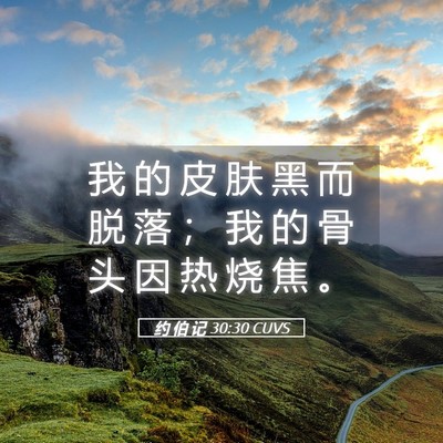 Picture 05 - 约 伯 记 30:30 CUVS - 我 的 皮 肤 黑 而 脱 落 ； 我 的 骨 - Bible Verse Picture