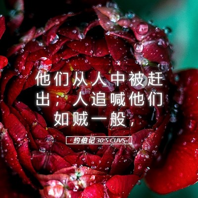Picture 05 - 约 伯 记 30:5 CUVS - 他 们 从 人 中 被 赶 出 ； 人 追 喊 - Bible Verse Picture