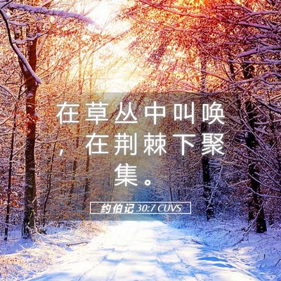 Picture 05 - 约 伯 记 30:7 CUVS - 在 草 丛 中 叫 唤 ， 在 荆 棘 下 聚 - Bible Verse Picture