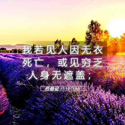 Picture 05 - 约 伯 记 31:19 CUVS - 我 若 见 人 因 无 衣 死 亡 ， 或 见 - Bible Verse Picture
