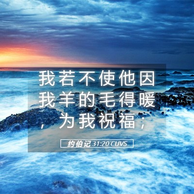 Picture 05 - 约 伯 记 31:20 CUVS - 我 若 不 使 他 因 我 羊 的 毛 得 暖 - Bible Verse Picture