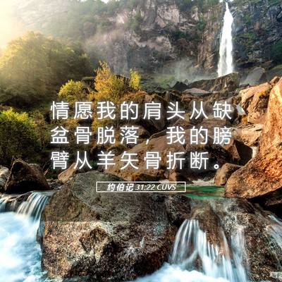 Picture 05 - 约 伯 记 31:22 CUVS - 情 愿 我 的 肩 头 从 缺 盆 骨 脱 落 - Bible Verse Picture