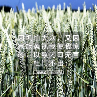 Picture 05 - 约 伯 记 31:34 CUVS - 因 惧 怕 大 众 ， 又 因 宗 族 藐 视 - Bible Verse Picture