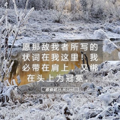 Picture 05 - 约 伯 记 31:36 CUVS - 愿 那 敌 我 者 所 写 的 状 词 在 我 - Bible Verse Picture