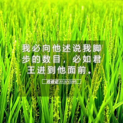 Picture 05 - 约 伯 记 31:37 CUVS - 我 必 向 他 述 说 我 脚 步 的 数 目 - Bible Verse Picture