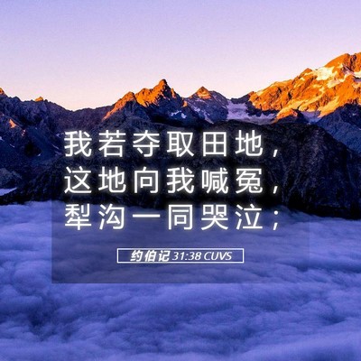 Picture 05 - 约 伯 记 31:38 CUVS - 我 若 夺 取 田 地 ， 这 地 向 我 喊 - Bible Verse Picture
