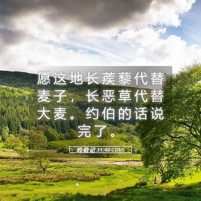 Picture 05 - 约 伯 记 31:40 CUVS - 愿 这 地 长 蒺 藜 代 替 麦 子 ， 长 - Bible Verse Picture