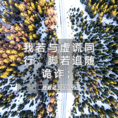 Picture 05 - 约 伯 记 31:5 CUVS - 我 若 与 虚 谎 同 行 ， 脚 若 追 随 - Bible Verse Picture