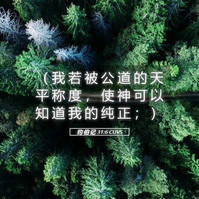 Picture 05 - 约 伯 记 31:6 CUVS - （ 我 若 被 公 道 的 天 平 称 度 ， - Bible Verse Picture