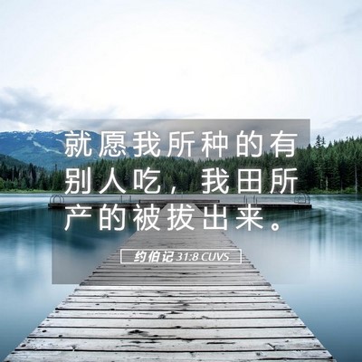 Picture 05 - 约 伯 记 31:8 CUVS - 就 愿 我 所 种 的 有 别 人 吃 ， 我 - Bible Verse Picture