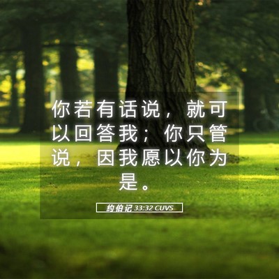 Picture 05 - 约 伯 记 33:32 CUVS - 你 若 有 话 说 ， 就 可 以 回 答 我 - Bible Verse Picture