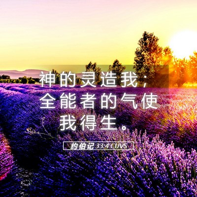 Picture 05 - 约 伯 记 33:4 CUVS - 神 的 灵 造 我 ； 全 能 者 的 气 使 - Bible Verse Picture