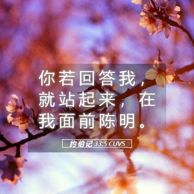 Picture 05 - 约 伯 记 33:5 CUVS - 你 若 回 答 我 ， 就 站 起 来 ， 在 - Bible Verse Picture