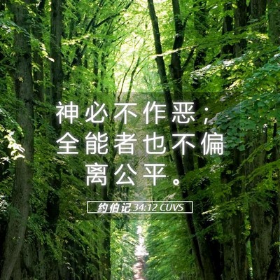 Picture 05 - 约 伯 记 34:12 CUVS - 神 必 不 作 恶 ； 全 能 者 也 不 偏 - Bible Verse Picture