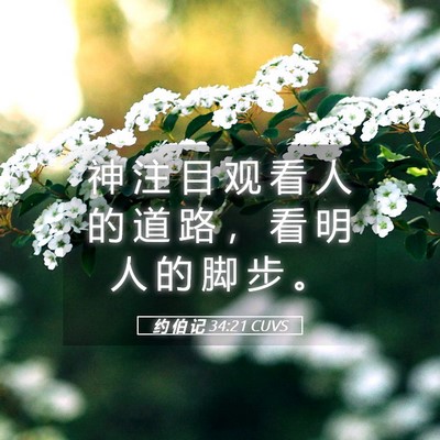 Picture 05 - 约 伯 记 34:21 CUVS - 神 注 目 观 看 人 的 道 路 ， 看 明 - Bible Verse Picture