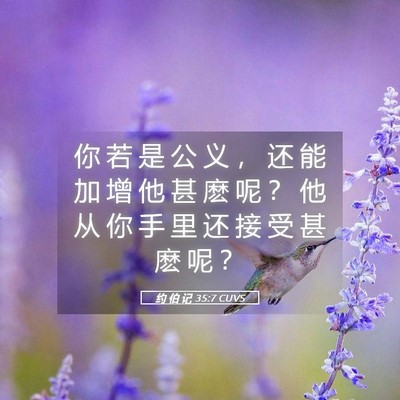 Picture 05 - 约 伯 记 35:7 CUVS - 你 若 是 公 义 ， 还 能 加 增 他 甚 - Bible Verse Picture