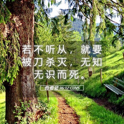 Picture 05 - 约 伯 记 36:12 CUVS - 若 不 听 从 ， 就 要 被 刀 杀 灭 ， - Bible Verse Picture