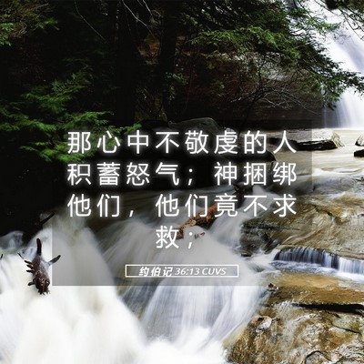 Picture 05 - 约 伯 记 36:13 CUVS - 那 心 中 不 敬 虔 的 人 积 蓄 怒 气 - Bible Verse Picture