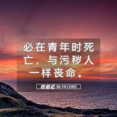 Picture 05 - 约 伯 记 36:14 CUVS - 必 在 青 年 时 死 亡 ， 与 污 秽 人 - Bible Verse Picture