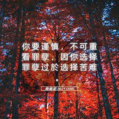 Picture 05 - 约 伯 记 36:21 CUVS - 你 要 谨 慎 ， 不 可 重 看 罪 孽 ， - Bible Verse Picture