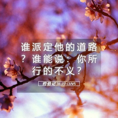 Picture 05 - 约 伯 记 36:23 CUVS - 谁 派 定 他 的 道 路 ？ 谁 能 说 ： - Bible Verse Picture