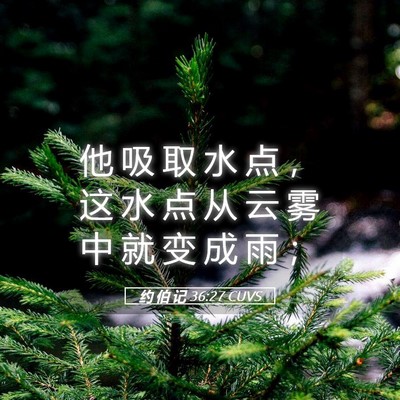 Picture 05 - 约 伯 记 36:27 CUVS - 他 吸 取 水 点 ， 这 水 点 从 云 雾 - Bible Verse Picture