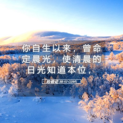 Picture 05 - 约 伯 记 38:12 CUVS - 你 自 生 以 来 ， 曾 命 定 晨 光 ， - Bible Verse Picture
