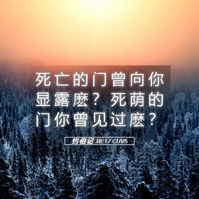 Picture 05 - 约 伯 记 38:17 CUVS - 死 亡 的 门 曾 向 你 显 露 麽 ？ 死 - Bible Verse Picture