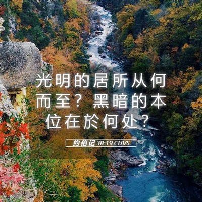 Picture 05 - 约 伯 记 38:19 CUVS - 光 明 的 居 所 从 何 而 至 ？ 黑 暗 - Bible Verse Picture