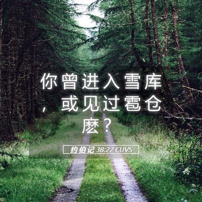 Picture 05 - 约 伯 记 38:22 CUVS - 你 曾 进 入 雪 库 ， 或 见 过 雹 仓 - Bible Verse Picture