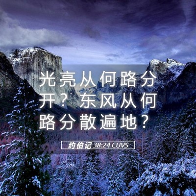Picture 05 - 约 伯 记 38:24 CUVS - 光 亮 从 何 路 分 开 ？ 东 风 从 何 - Bible Verse Picture