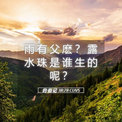 Picture 05 - 约 伯 记 38:28 CUVS - 雨 有 父 麽 ？ 露 水 珠 是 谁 生 的 - Bible Verse Picture