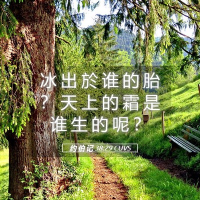 Picture 05 - 约 伯 记 38:29 CUVS - 冰 出 於 谁 的 胎 ？ 天 上 的 霜 是 - Bible Verse Picture