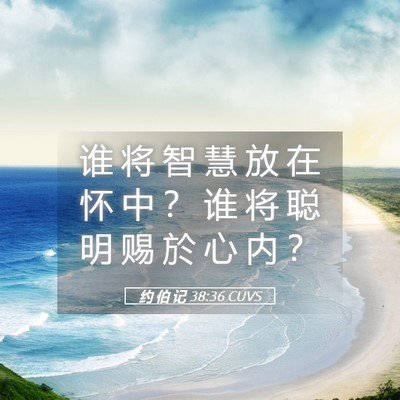 Picture 05 - 约 伯 记 38:36 CUVS - 谁 将 智 慧 放 在 怀 中 ？ 谁 将 聪 - Bible Verse Picture